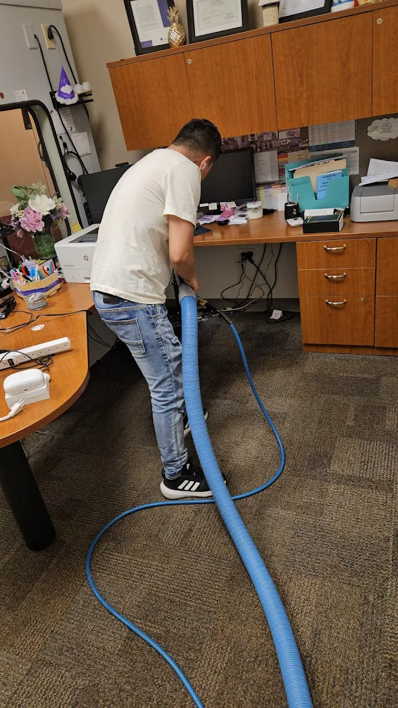 Rug cleaning job done in New Jersey
