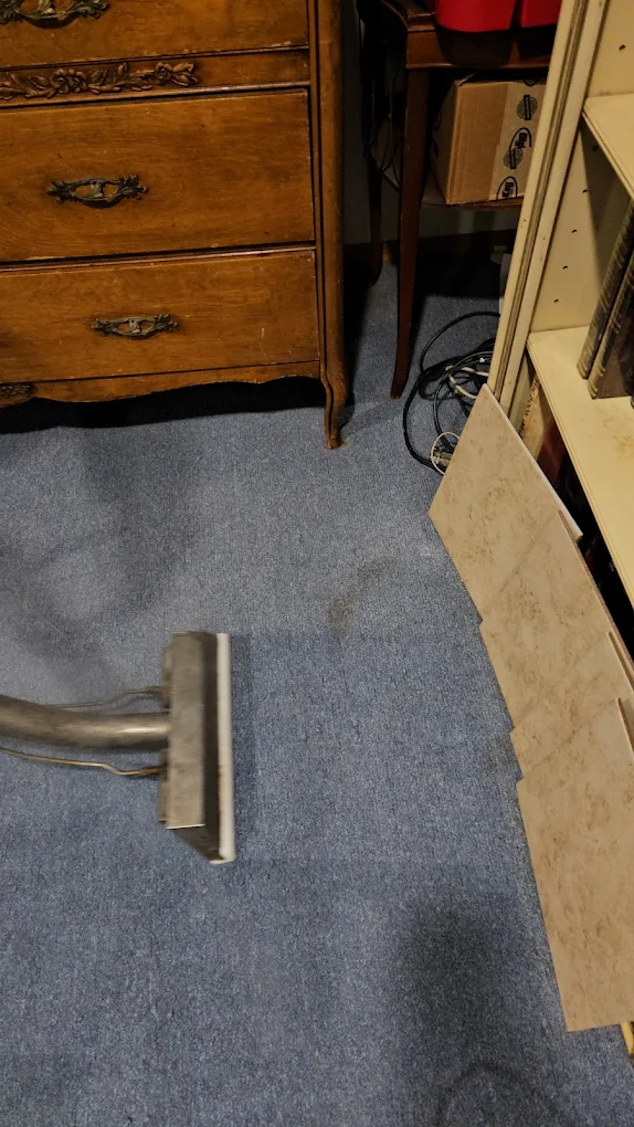 Stain & pet odor removal, New Jersey