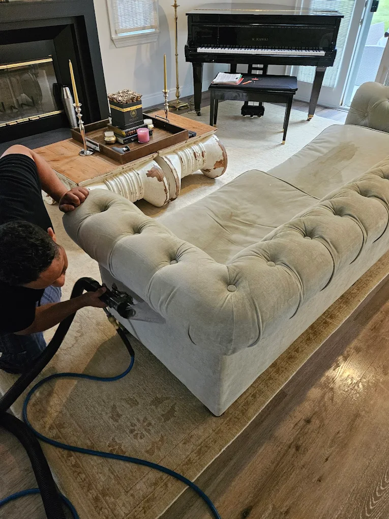 Upholstery couch cleaning in New Jersey