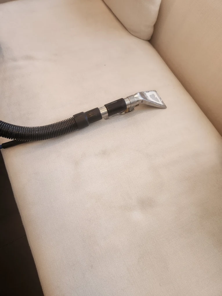 Couch cleaning in a New Jersey home